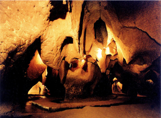 Visita coves del toll Moià